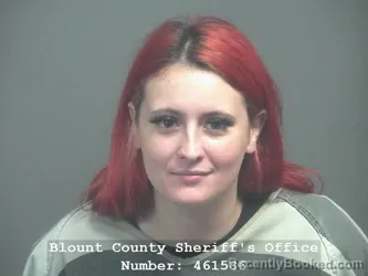 Booking photo from Blount County, Tennessee
