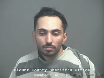 Mugshot of MOHAMMAD AHMAD ABDALLAH ABU-HAMMOUR