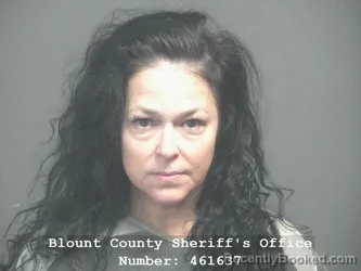 Mugshot of LINDSEY ANN KORON