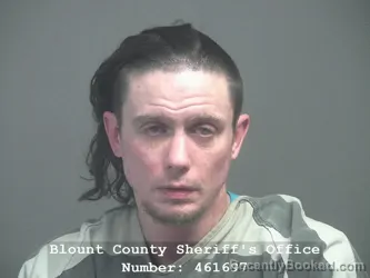Booking photo from Blount County, Tennessee