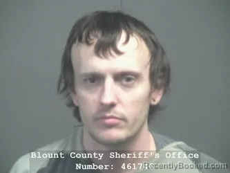 Booking photo from Blount County, Tennessee
