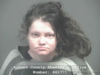 Mugshot of KELLIE DAWN HAMIC