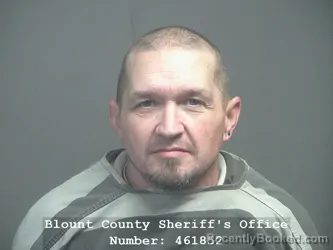 Mugshot of BRIAN CLEVE MULLINS