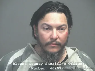 Mugshot of JERRY RAMON