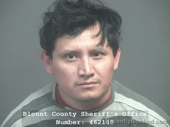 Booking photo from Blount County, Tennessee