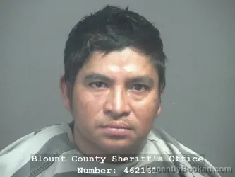 Booking photo from Blount County, Tennessee