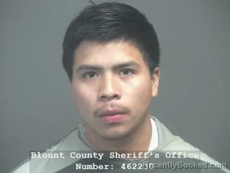 Mugshot of WUILMAR FABIAN DIAZ GALLEGO