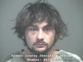 Mugshot of DALLAS ROY MERCER