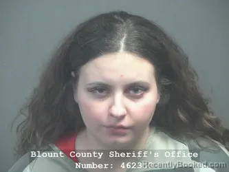 Booking photo from Blount County, Tennessee