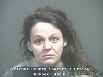 Mugshot of HALIE MICHELLE STOUT