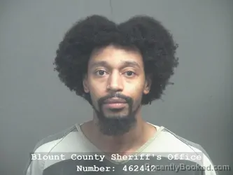 Mugshot of FLOYD LEE ODERSON