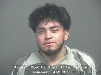 Mugshot of LENER ALAJANDRO RODRIGUEZ