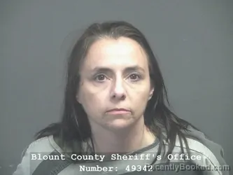 Booking photo from Blount County, Tennessee