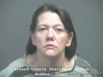 Booking photo from Blount County, Tennessee