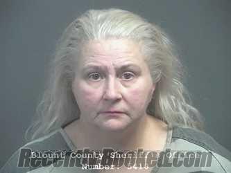 Booking photo from Blount County, Tennessee