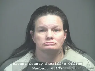 Mugshot of MELINDA JO BRYANT