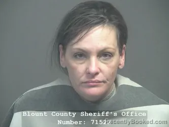 Mugshot of JENNIFER NICOLE ROSS