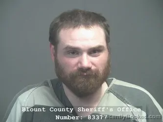 Mugshot of GEORGE RAY BORING