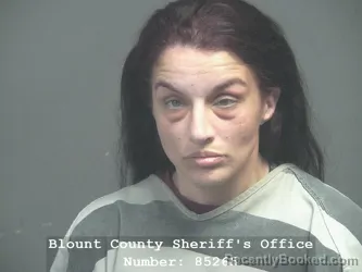 Mugshot of ASHLEY LYNN LIVELY