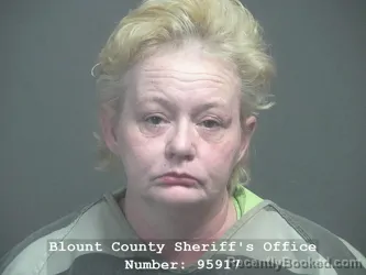 Mugshot of LISA DAWN LUDEKING