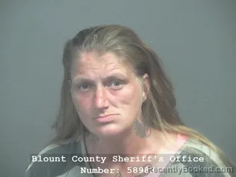 Mugshot of BETTY JO ARMSTRONG booked in Blount County, Tennessee on April 18, 2026