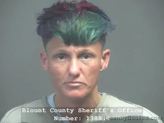 Mugshot of Ciara Marie Anderson booked in Blount County, Tennessee on August 26, 2026