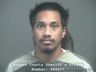 Mugshot of JAMAL JAYJ ADALFRET booked in Blount County, Tennessee on April 2, 2026