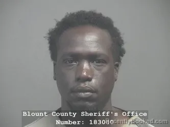 Mugshot of KHALIL BOTRUS ABUHANIA booked in Blount County, Tennessee on May 31, 2026