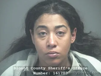 Mugshot of KEEANA IKERIA AGEE booked in Blount County, Tennessee on April 1, 2026