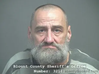 Mugshot of MICHAEL LYNN ANDERSON booked in Blount County, Tennessee on June 1, 2026