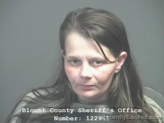 Mugshot of CHELSEA DANIELLE BANKS booked in Blount County, Tennessee on June 26, 2026
