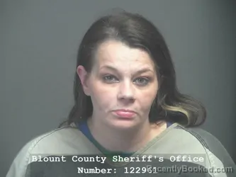 Mugshot of Chelsea Danielle Banks booked in Blount County, Tennessee on July 29, 2026