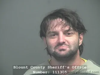 Mugshot of Chaston Mccain Balch booked in Blount County, Tennessee on August 1, 2026
