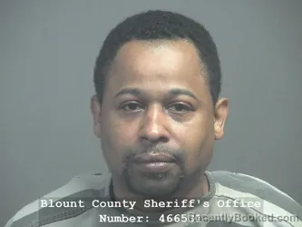 Booking photo from Blount County, Tennessee