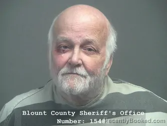 Mugshot of EDISON JEFFERSON BLAISE booked in Blount County, Tennessee on March 24, 2026