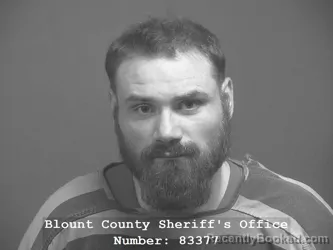 Mugshot of George Ray Boring booked in Blount County, Tennessee on July 13, 2026