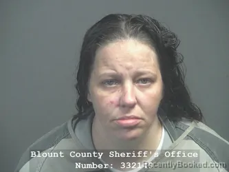 Mugshot of Jessica Danielle Bryant booked in Blount County, Tennessee on August 5, 2026