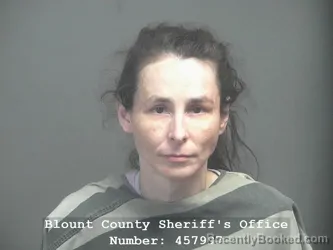 Mugshot of Jessica Lynn Buchanan booked in Blount County, Tennessee on July 8, 2026