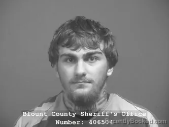 Mugshot of Leland Blaze Butler booked in Blount County, Tennessee on July 14, 2026