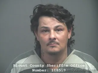 Mugshot of Manuel Borquez-Webster booked in Blount County, Tennessee on July 29, 2026