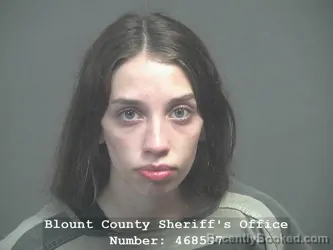 Mugshot of Natalie Amanda Brooks booked in Blount County, Tennessee on July 14, 2026