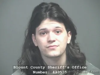 Mugshot of NICHOLAS RYAN BEINER booked in Blount County, Tennessee on April 7, 2026