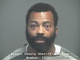 Mugshot of Terrance Brandon Brown booked in Blount County, Tennessee on August 3, 2026