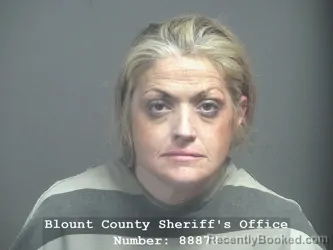 Mugshot of ALLISON NICOLE CHARLES booked in Blount County, Tennessee on June 10, 2026