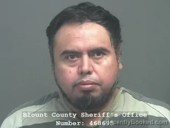 Mugshot of Bertin Cruz-Hernandez booked in Blount County, Tennessee on July 16, 2026