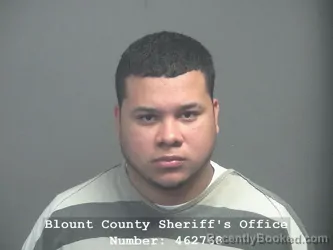 Mugshot of CAMILO CAMPO AMARIS booked in Blount County, Tennessee on April 1, 2026