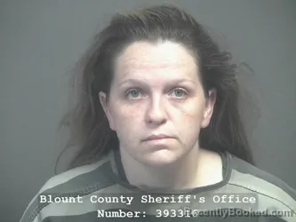 Mugshot of CHELSEA LEE COLE booked in Blount County, Tennessee on June 26, 2026