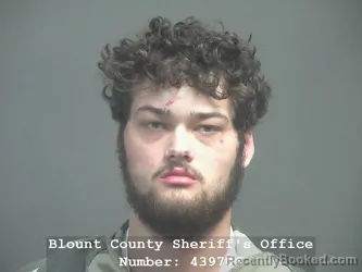 Mugshot of JOHN ANDREW COLEMAN booked in Blount County, Tennessee on April 5, 2026