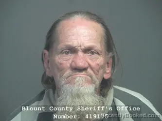 Mugshot of Lewis Eugene Cook booked in Blount County, Tennessee on July 31, 2026