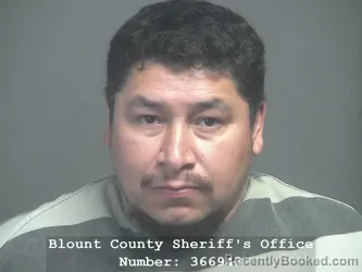 Booking photo from Blount County, Tennessee